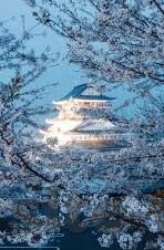 森林的舞会游戏下载-森林的舞会，一场梦幻般的冒险之旅